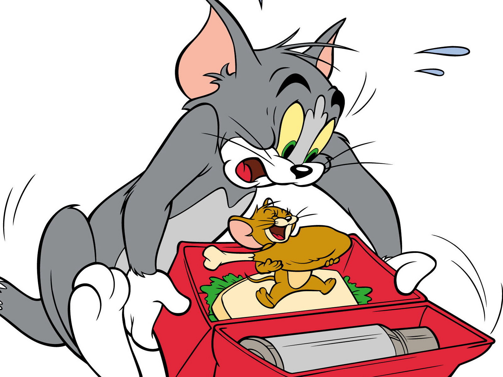 Tom & Jerry 6